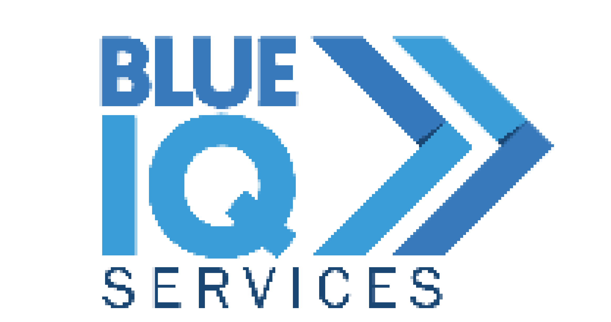 BlueIQ Services